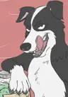 a3kff2888's Avatar